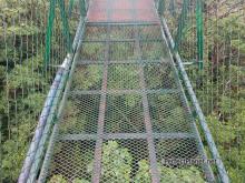 Suspension bridge