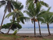 Bahía Drake