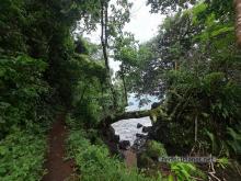 Coast trail