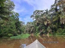 Tortuguero