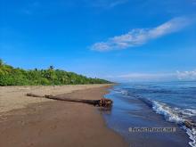 Tortuguero beach