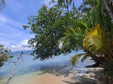 Cahuita National Park