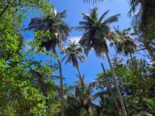 Gandoca Manzanillo Wildlife Refuge