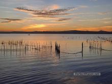 Albufera