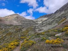 Lomas well path