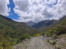 Montaña Palentina