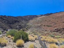 Parque Nacional del Teide