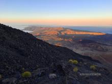 Parque Nacional del Teide