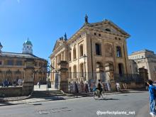 Oxford